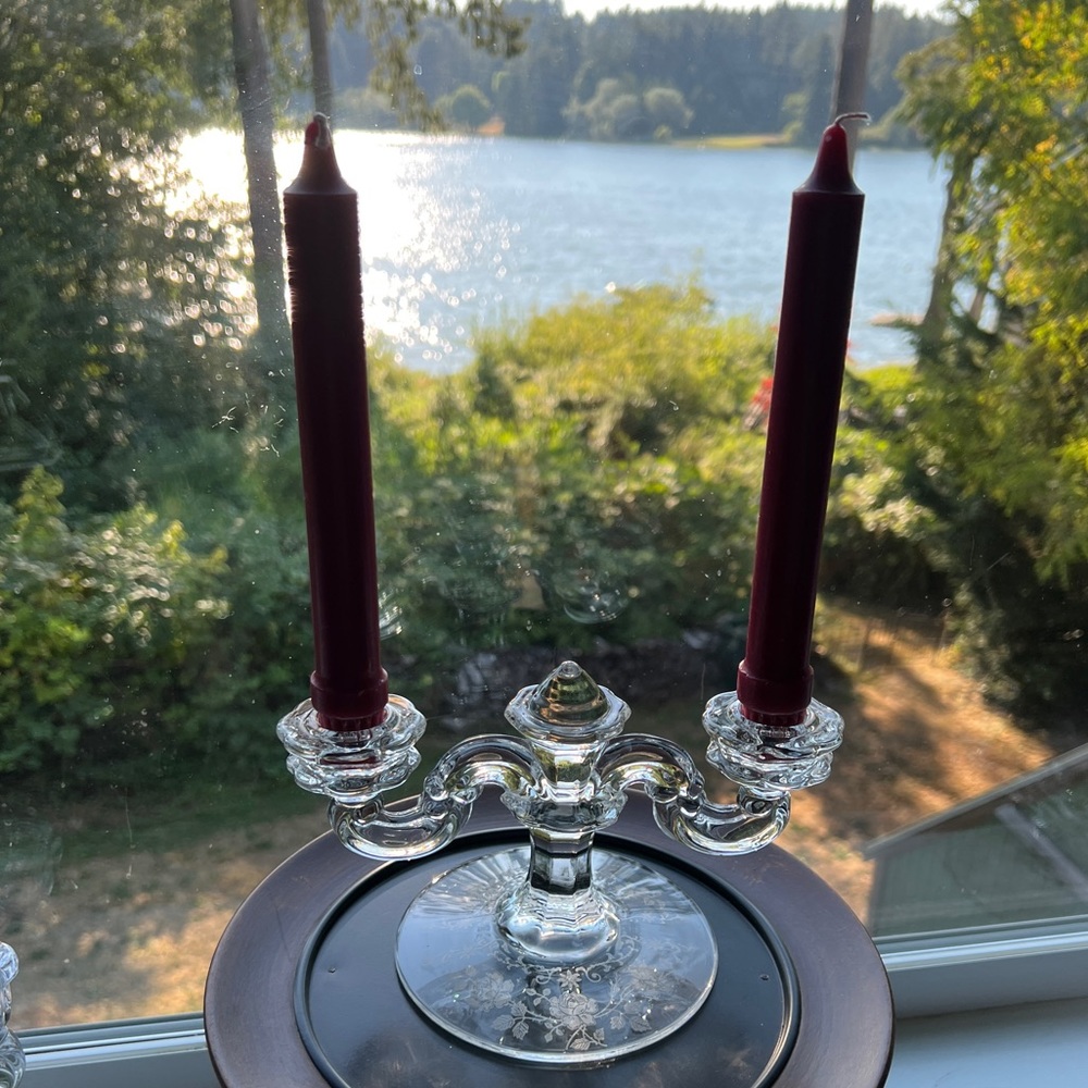 Vintage Fostoria Midnight Rose Etched Two Candlestick Candelabra Dome Center - Picture 2 of 16